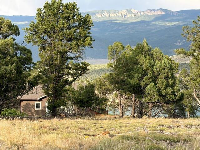44922 Property Photo 4