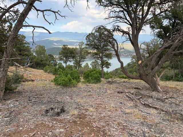 44922 Property Photo 8