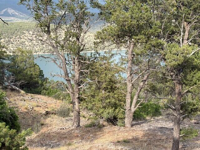 44922 Property Photo 23