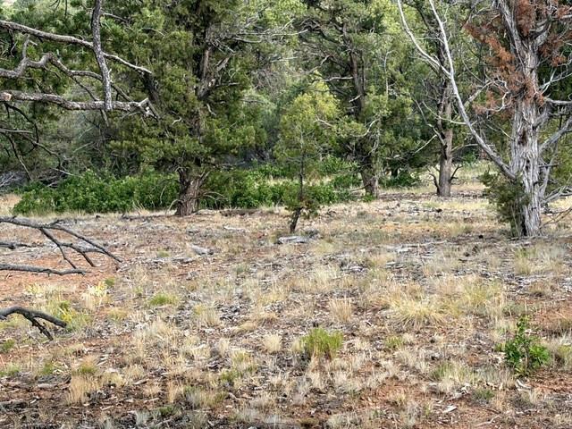 44922 Property Photo 26