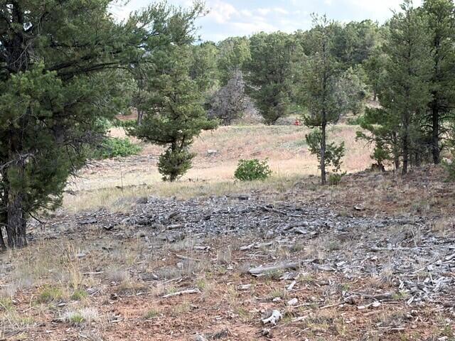 44922 Property Photo 27