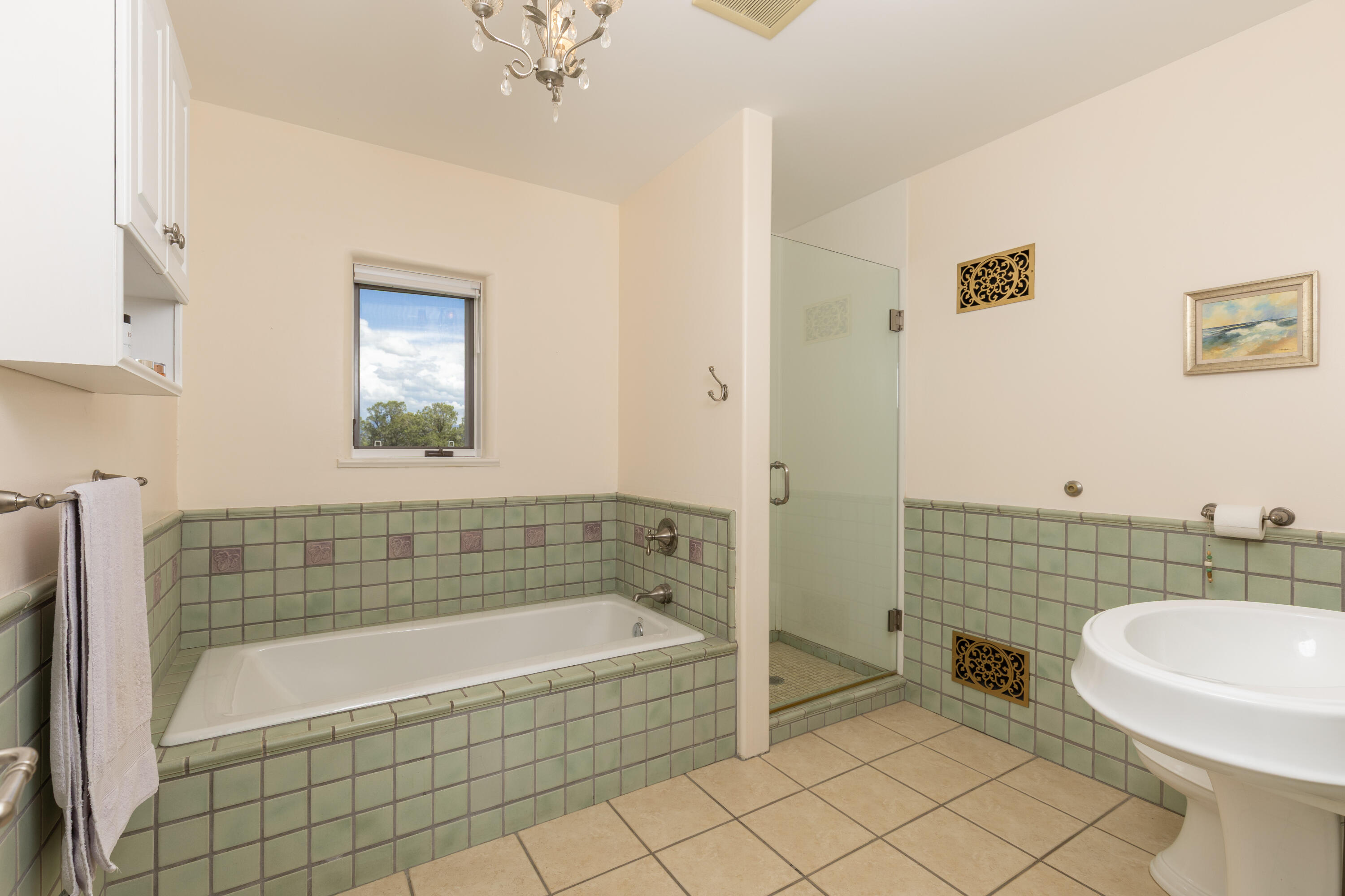 1716 Snow Bush Drive Property Photo 18