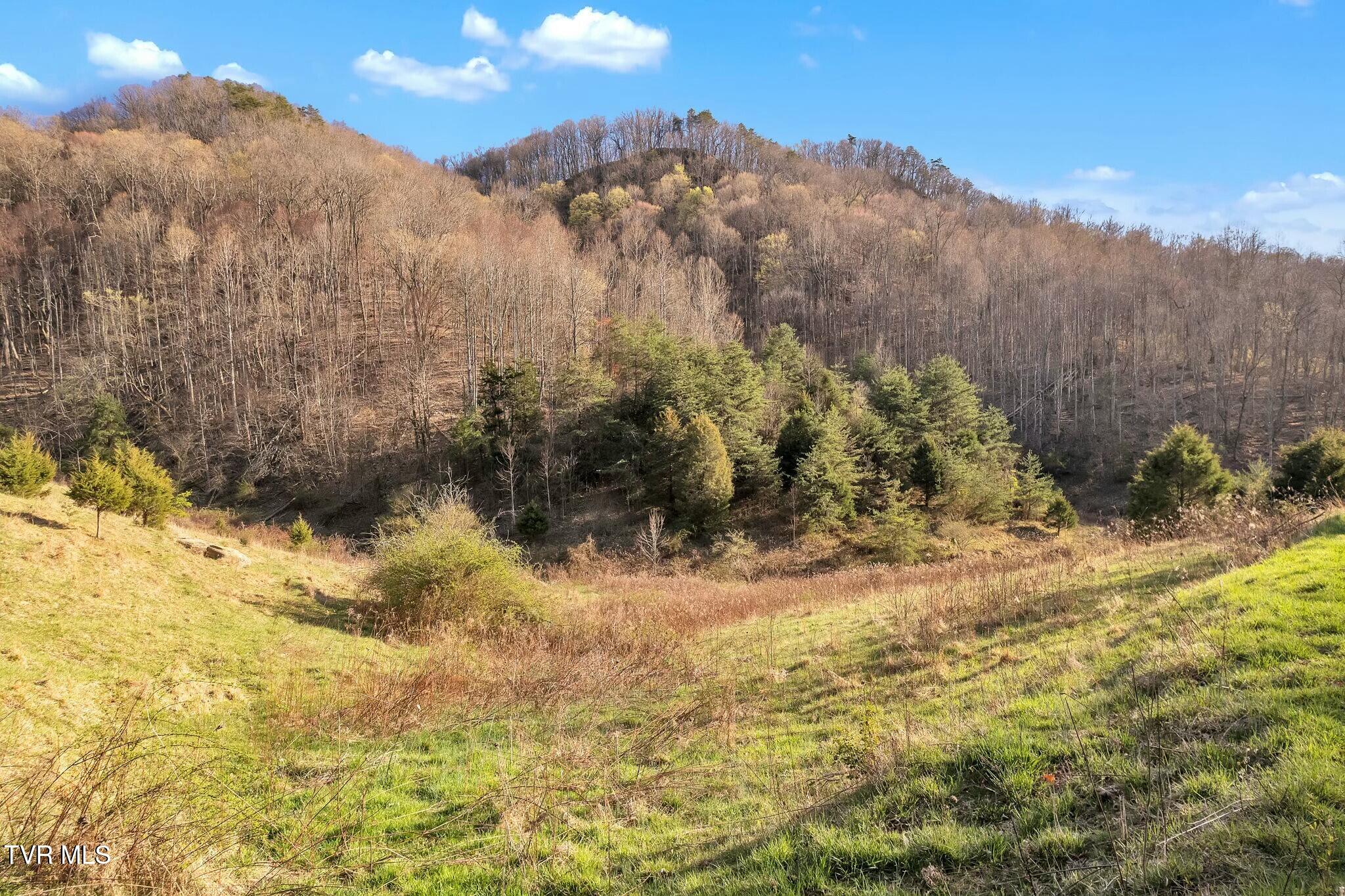 736 Shelley's Road Property Photo 17