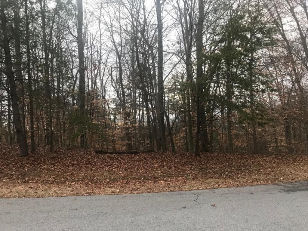 Lot 139 Antler Court Property Photo 1