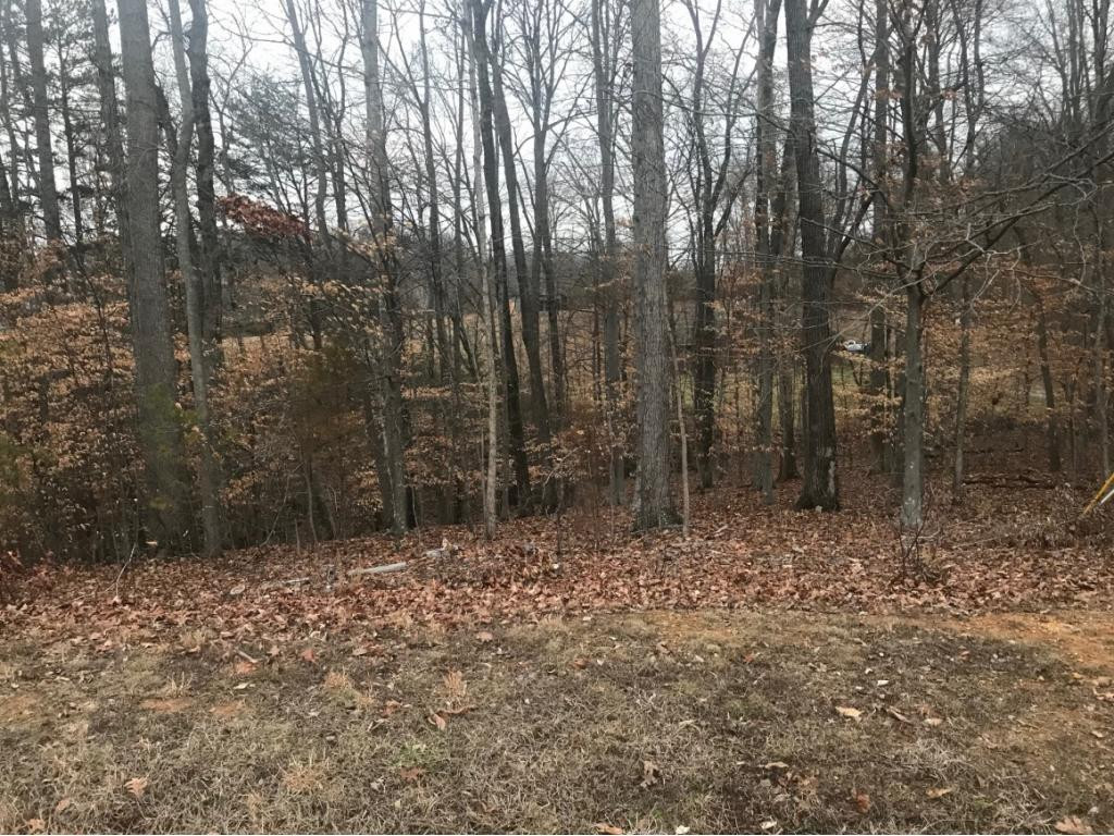 Lot 140 Buckpoint Property Photo 1