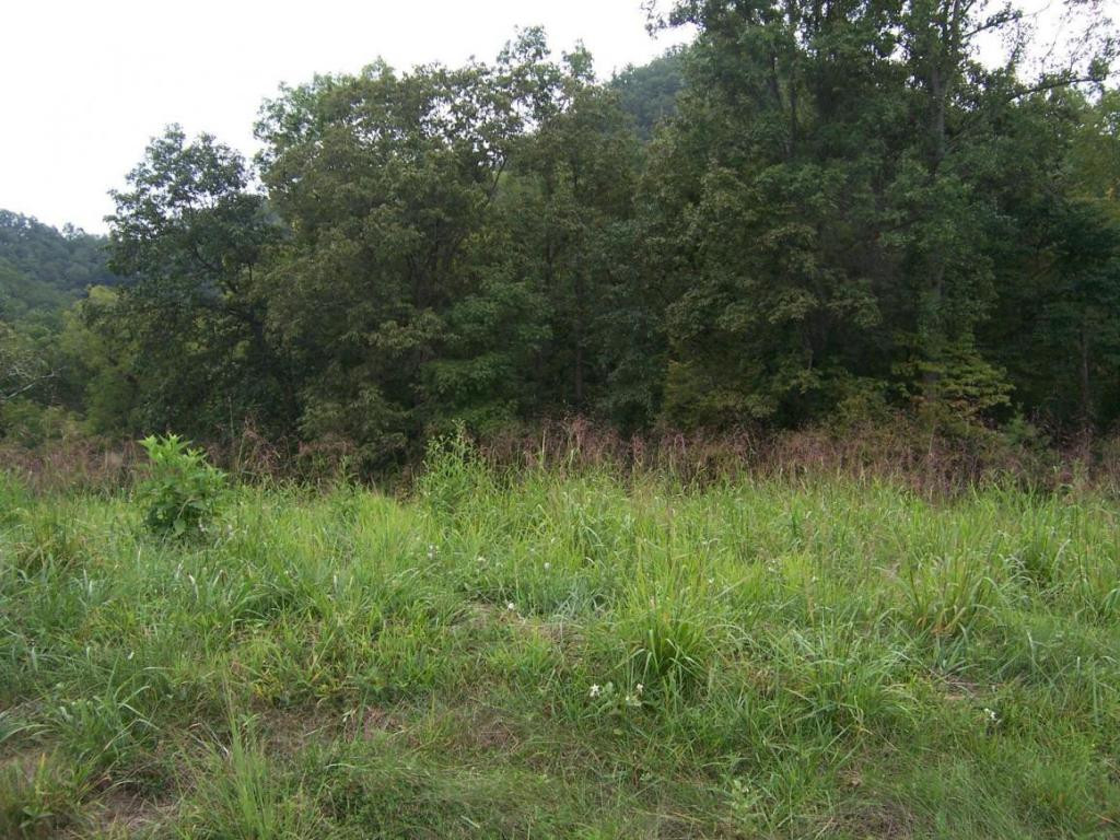 0 Lake Pointe Drive Property Photo