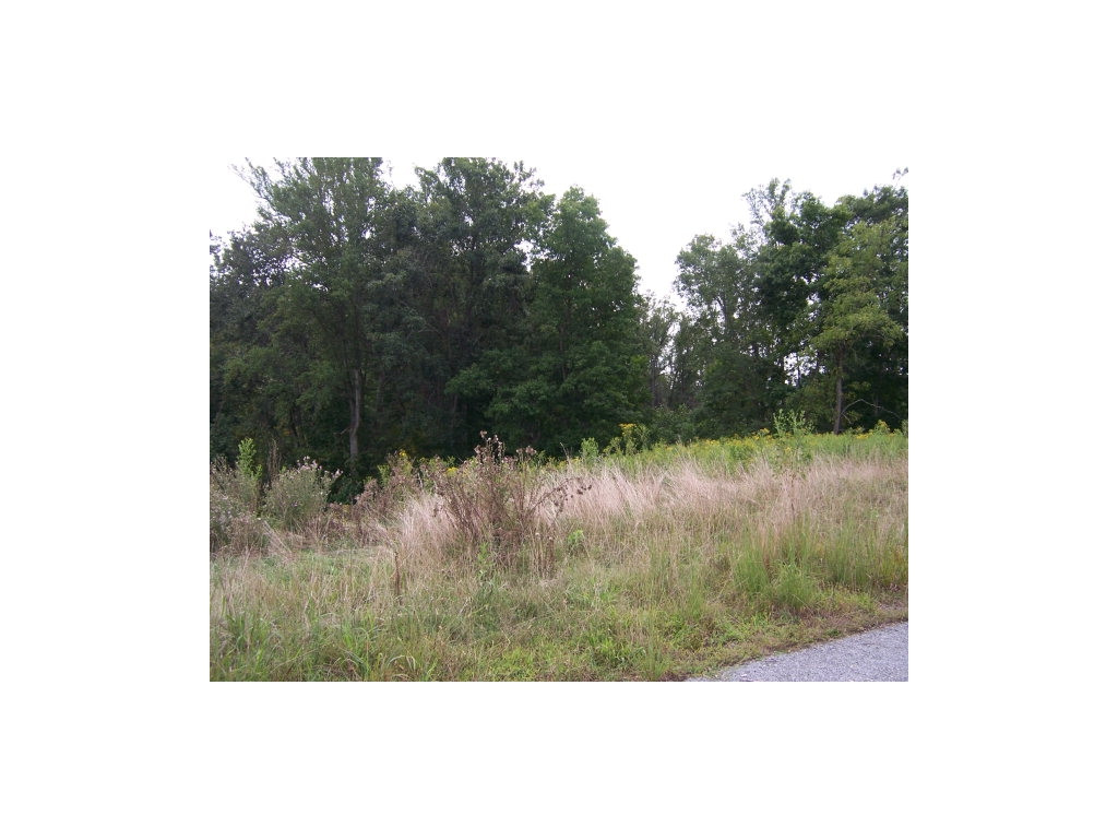 0 Lake Pointe Drive Property Photo