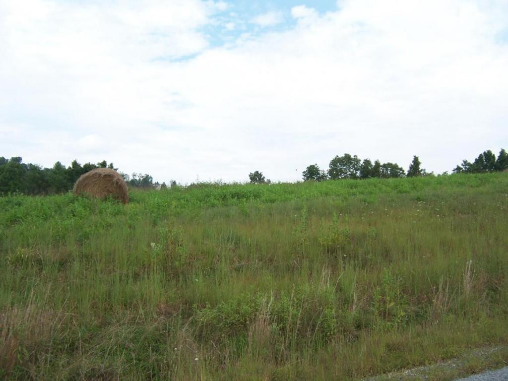 0 Lake Bend Court Property Photo