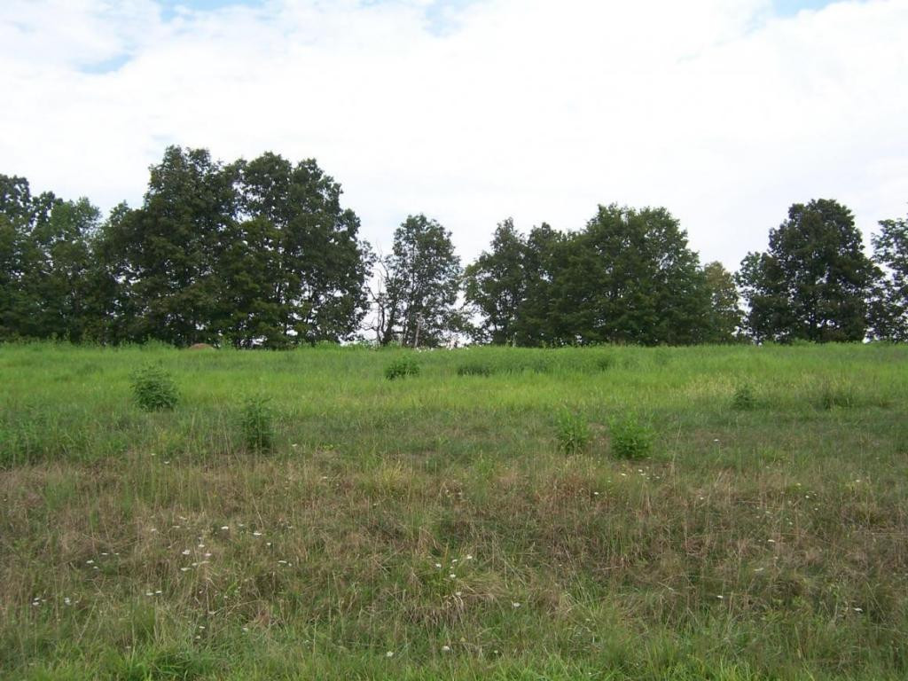 Lake Pointe Real Estate Listings Main Image