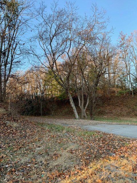 512 East Stone Drive Property Photo 3