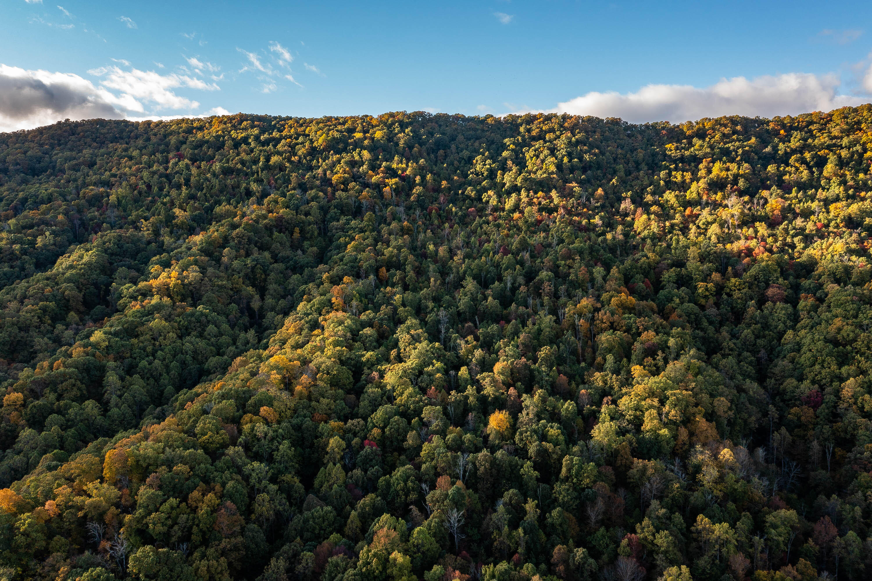 378 Ac Caney Creek Lane Property Photo 4