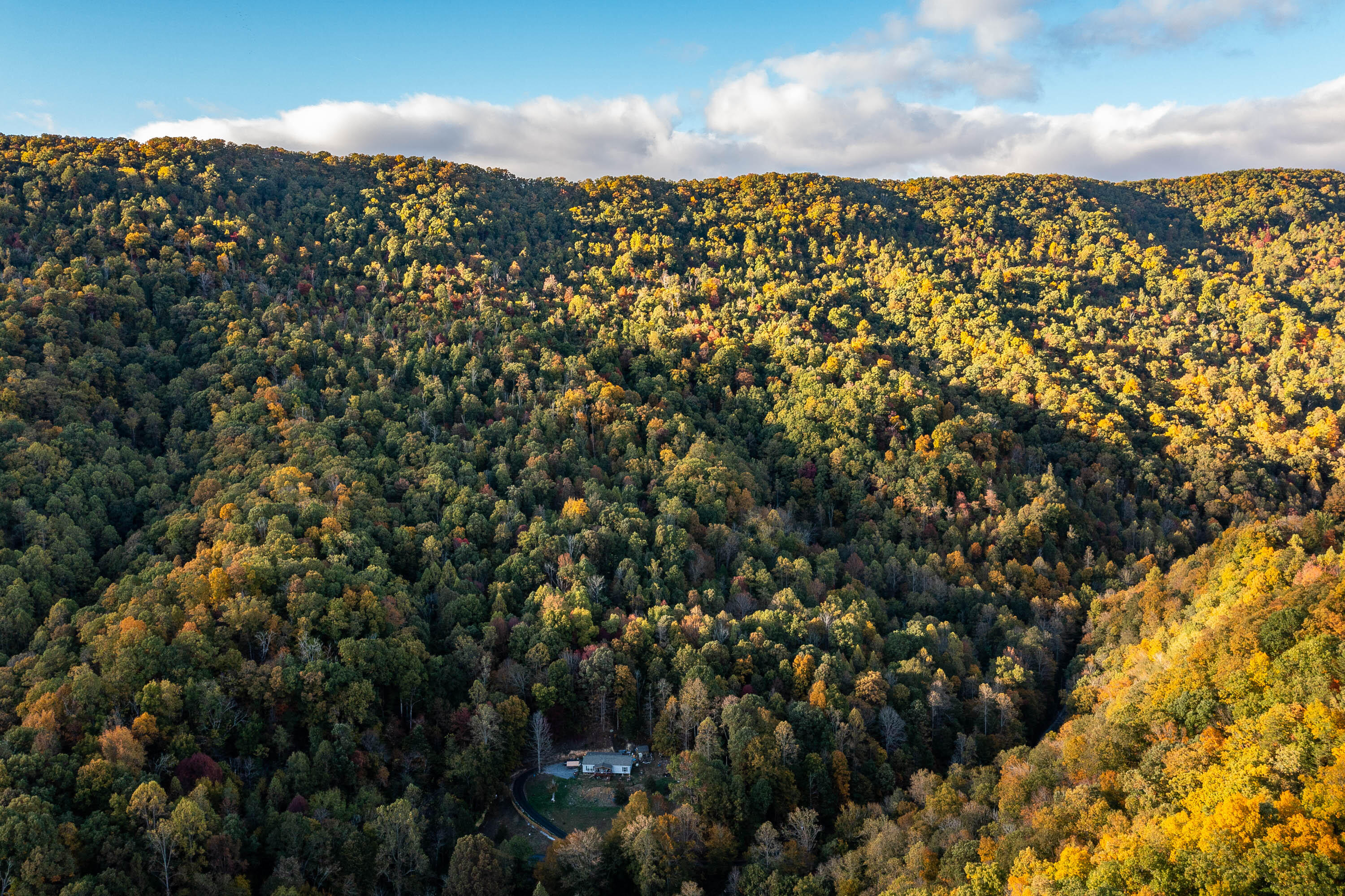 378 Ac Caney Creek Lane Property Photo 8