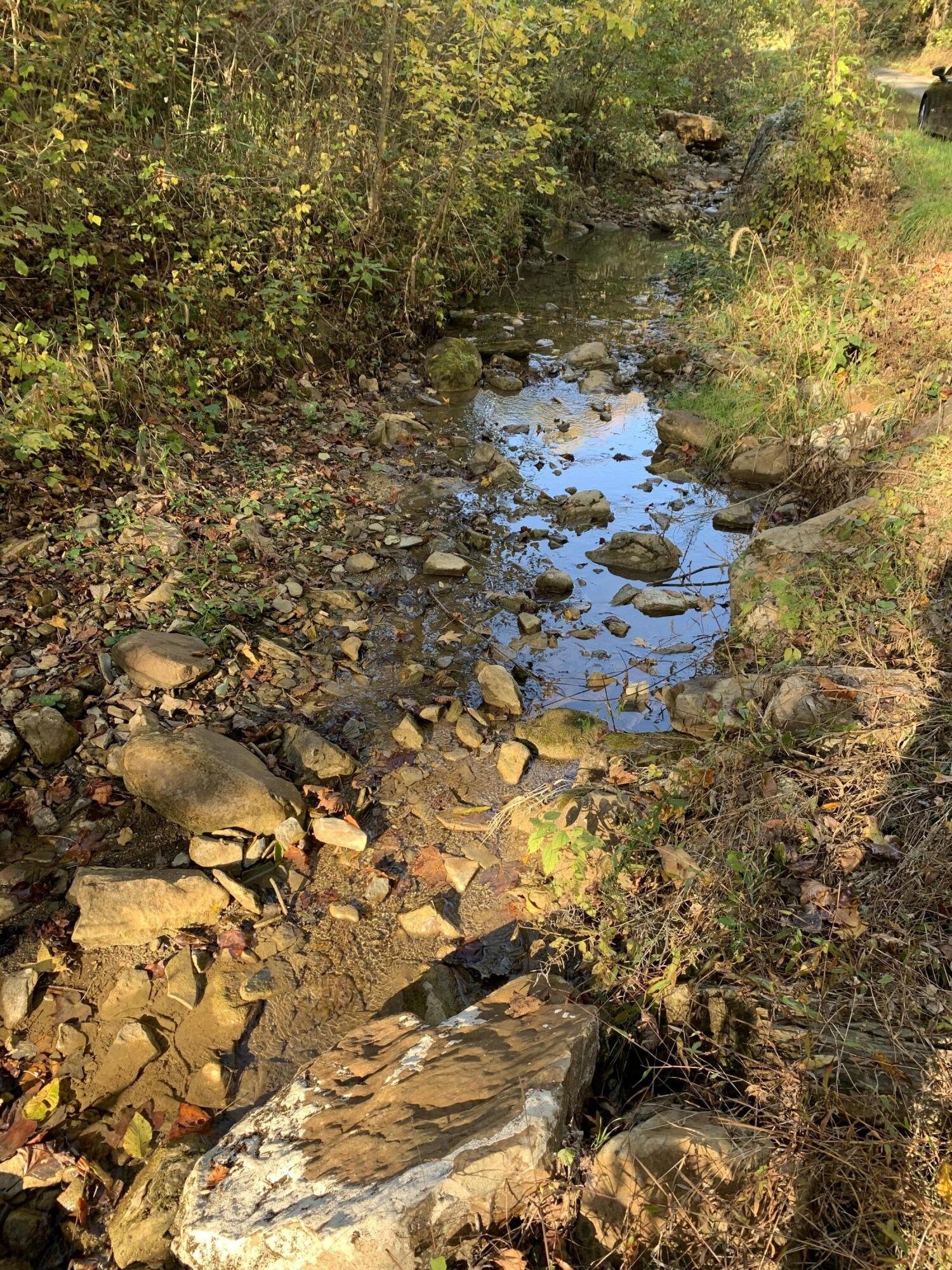 378 Ac Caney Creek Lane Property Photo 29