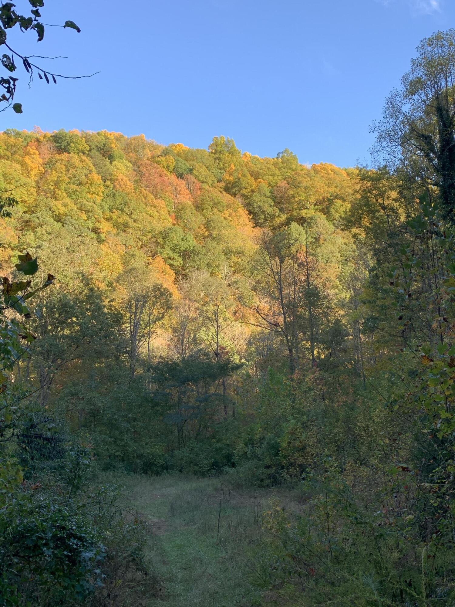 378 Ac Caney Creek Lane Property Photo 44