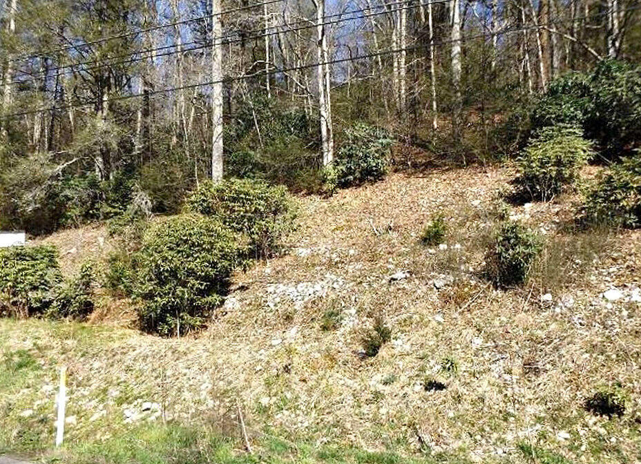 Tbd Highway 67 Property Photo