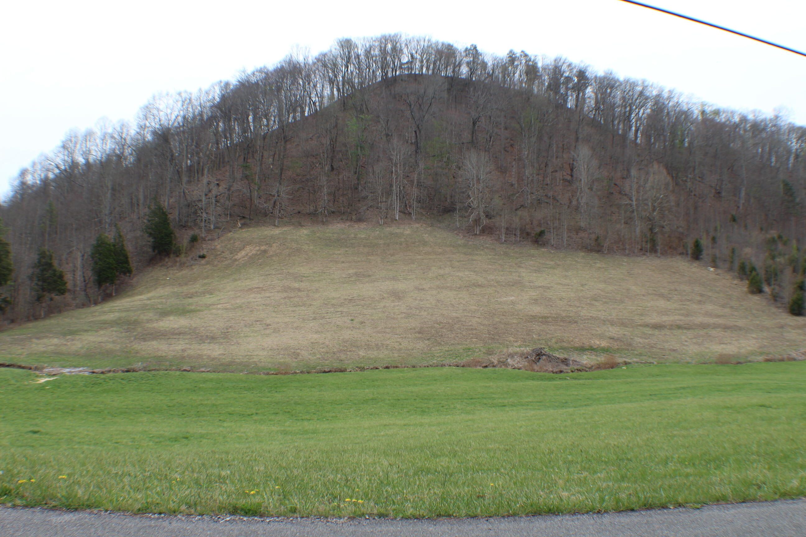 0 Caney Valley Loop Property Photo 1
