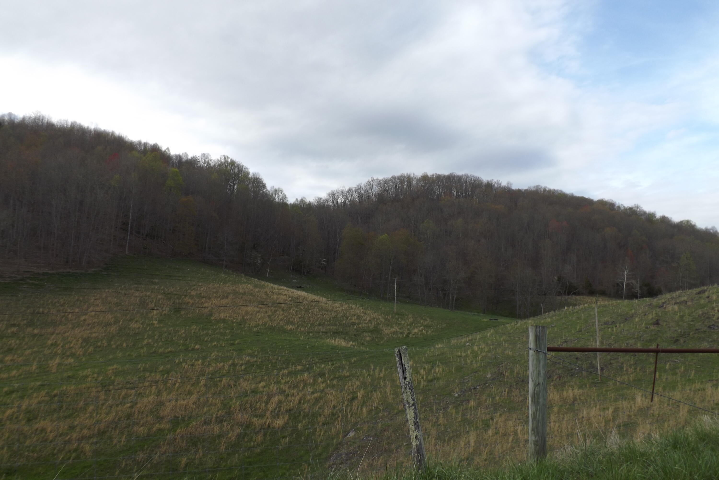 0 Buffalo Hollow Property Photo 1