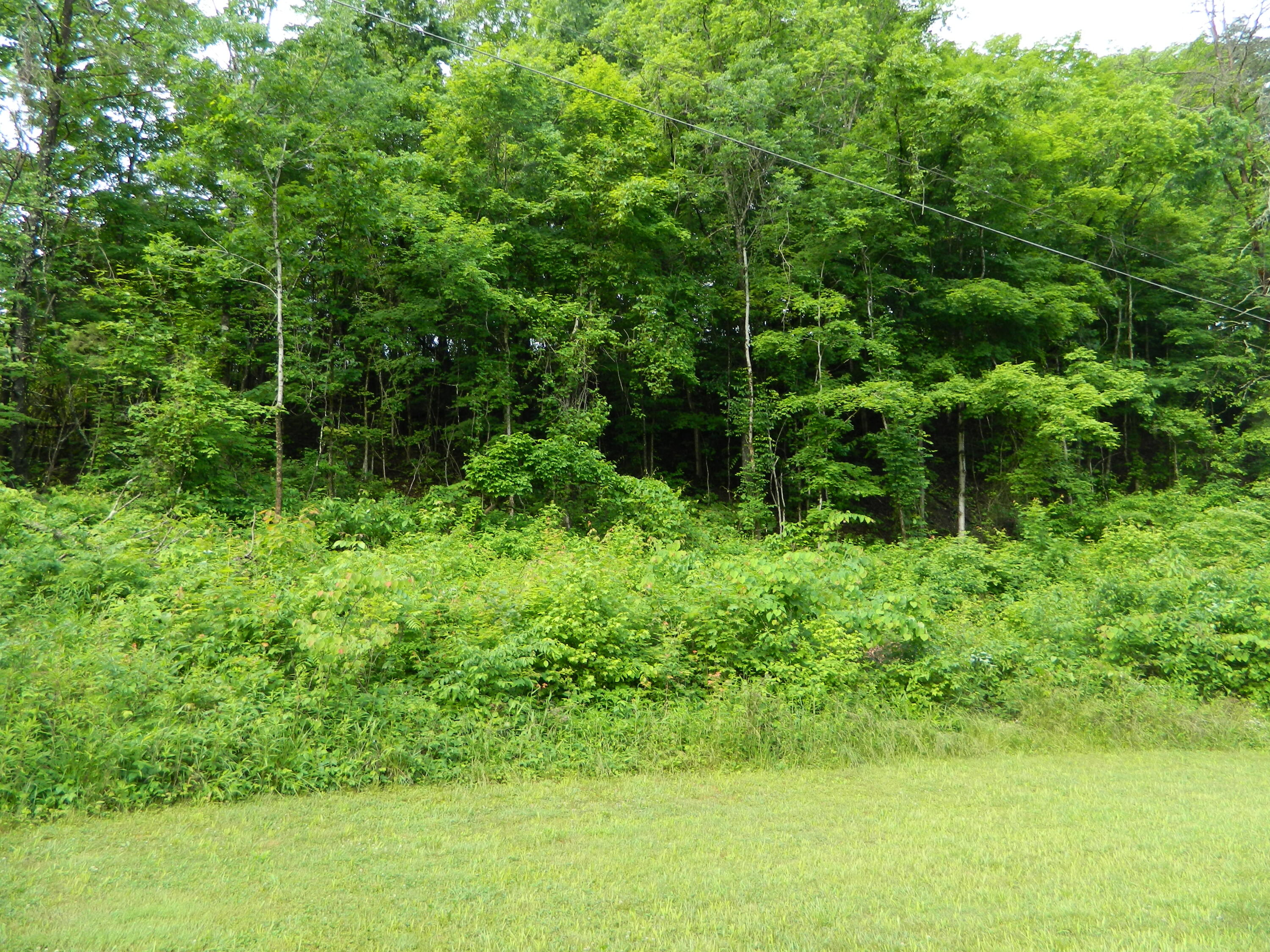 0 Little Valley Road Property Photo 1