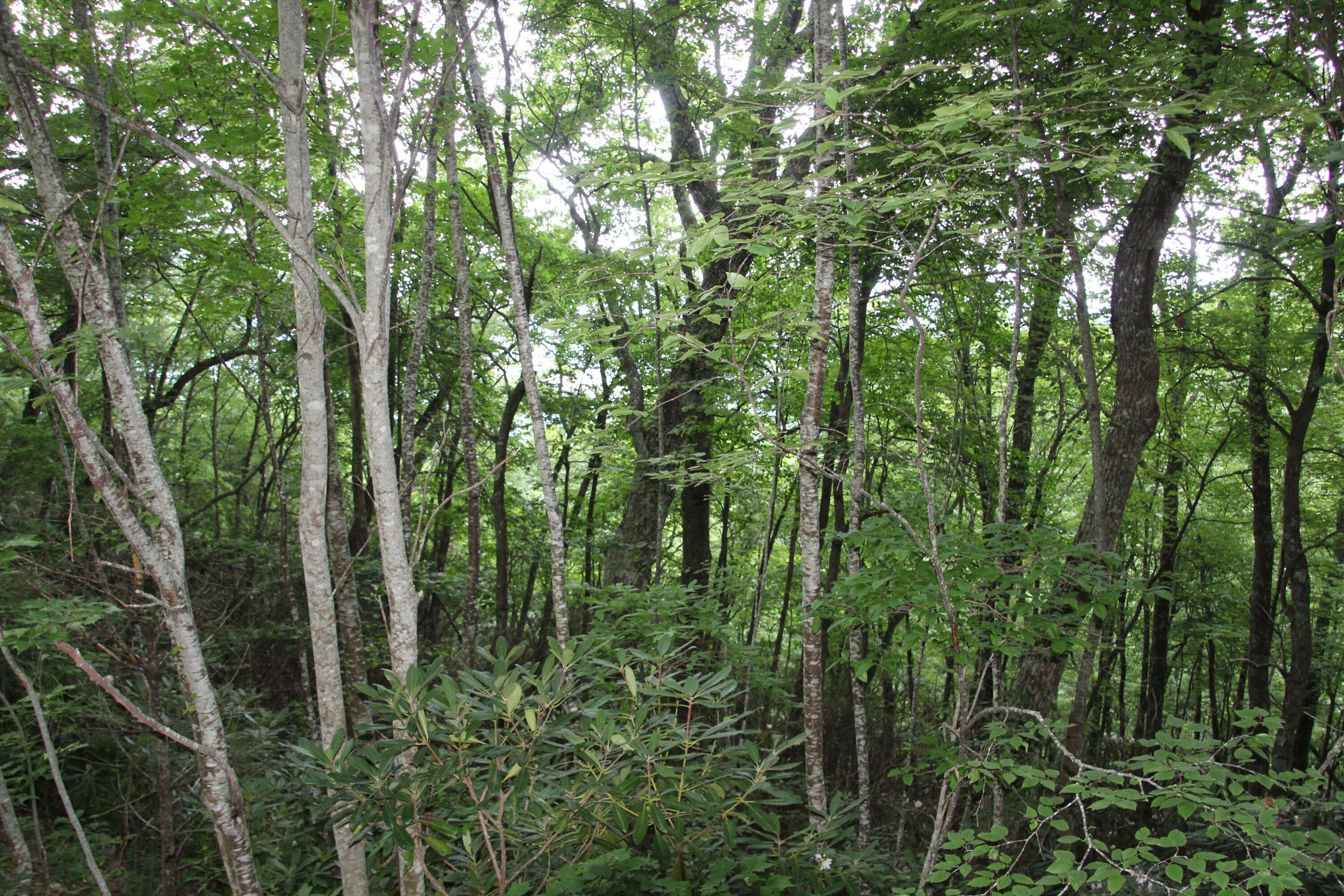 0000 Seminole Drive Property Photo 1