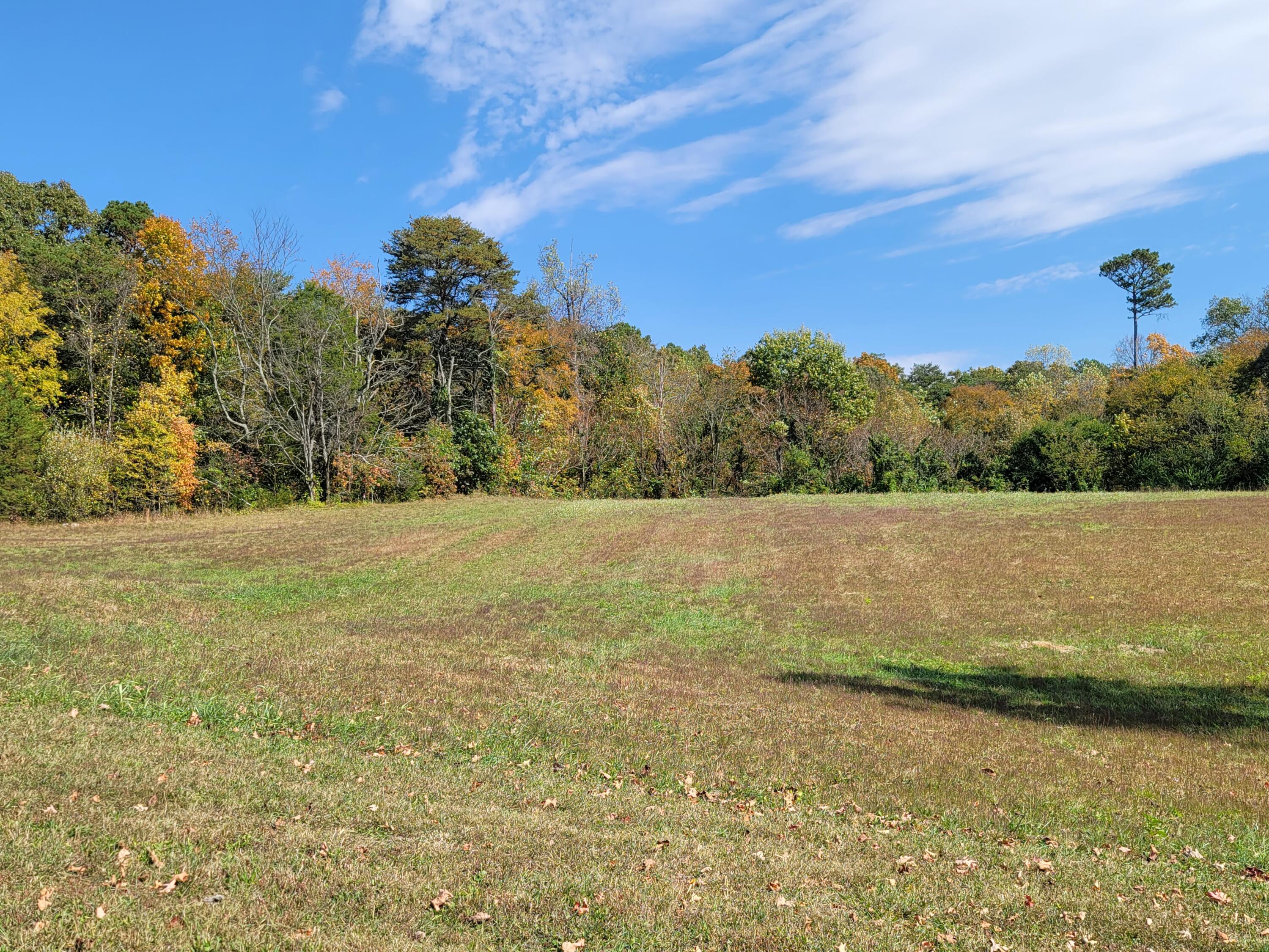 Lot 55 Tucker Court Property Photo 1