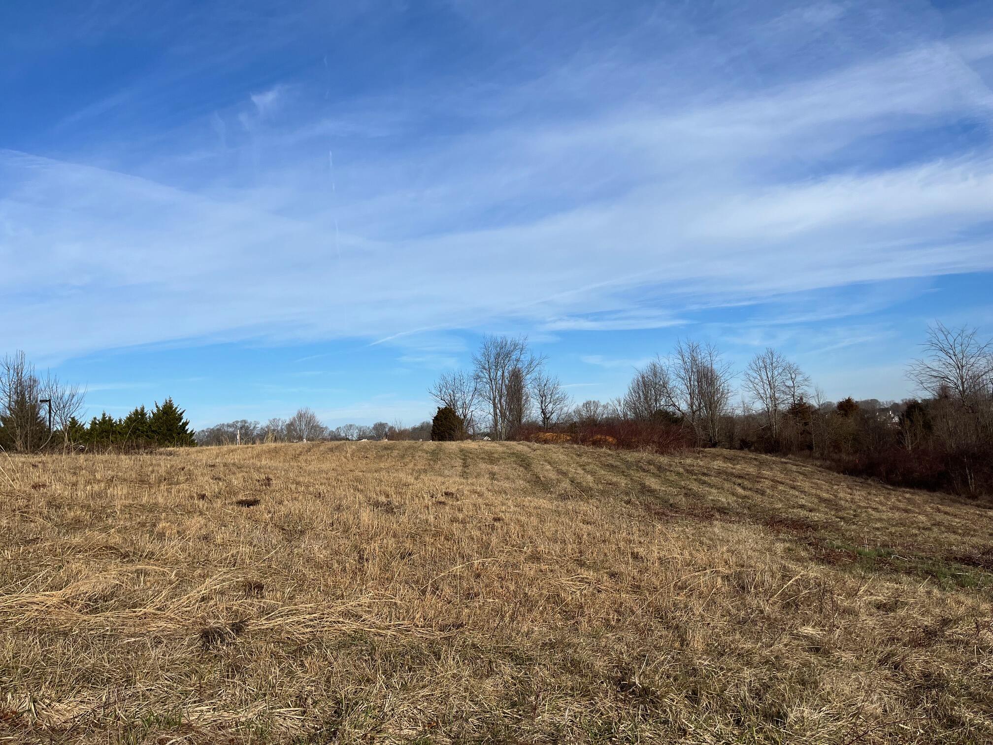5583 Bobby Hicks Highway Property Photo