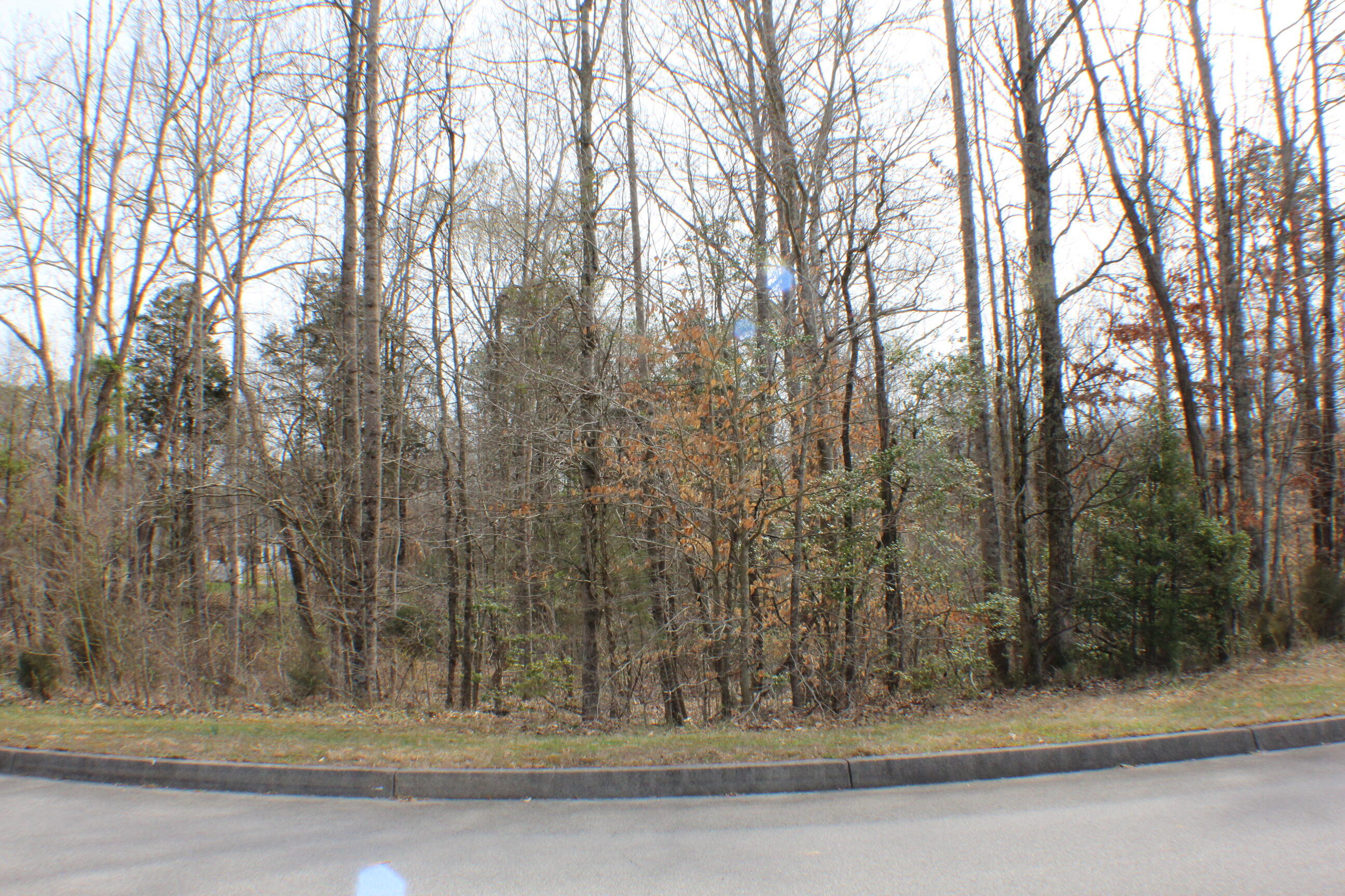 1032 Wildwood Trail Property Photo 1