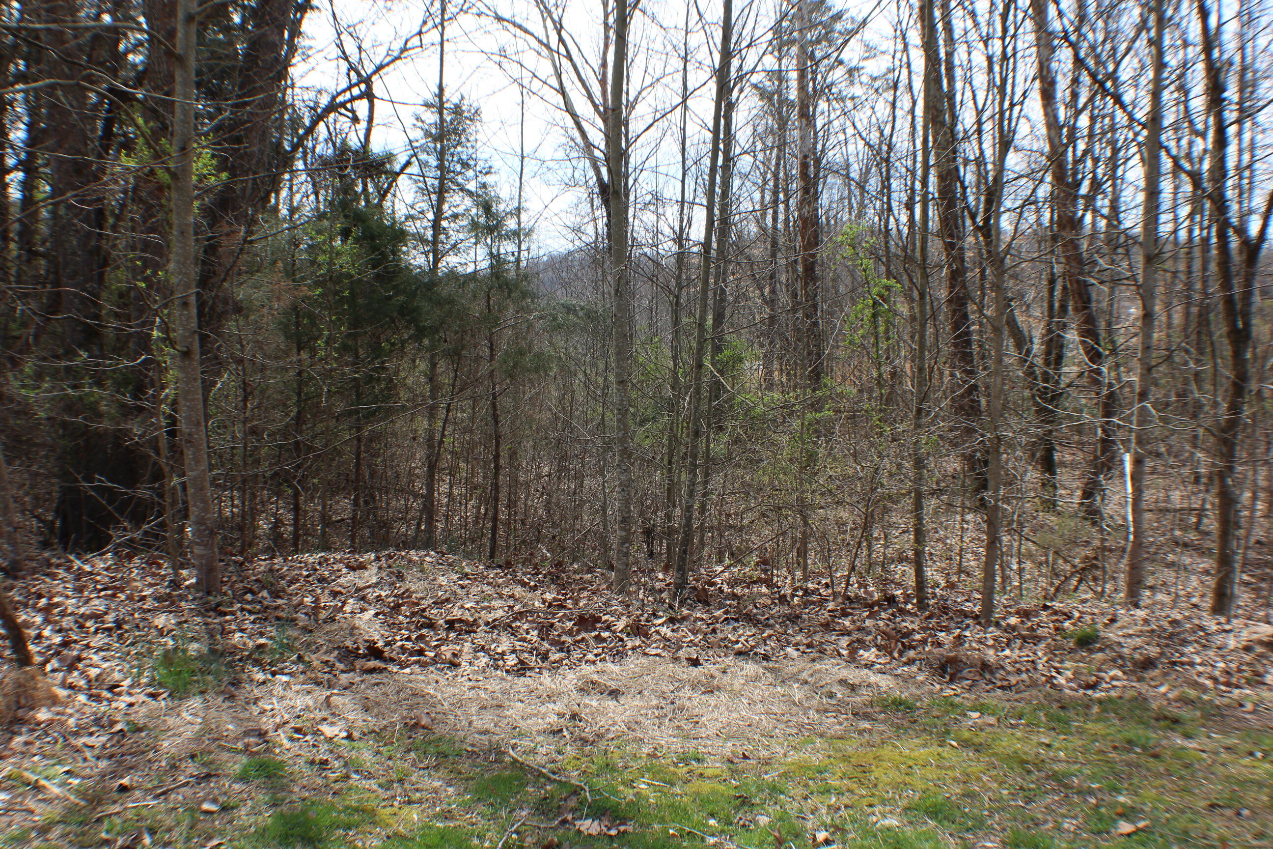 1038 Wildwood Trail Property Photo 1