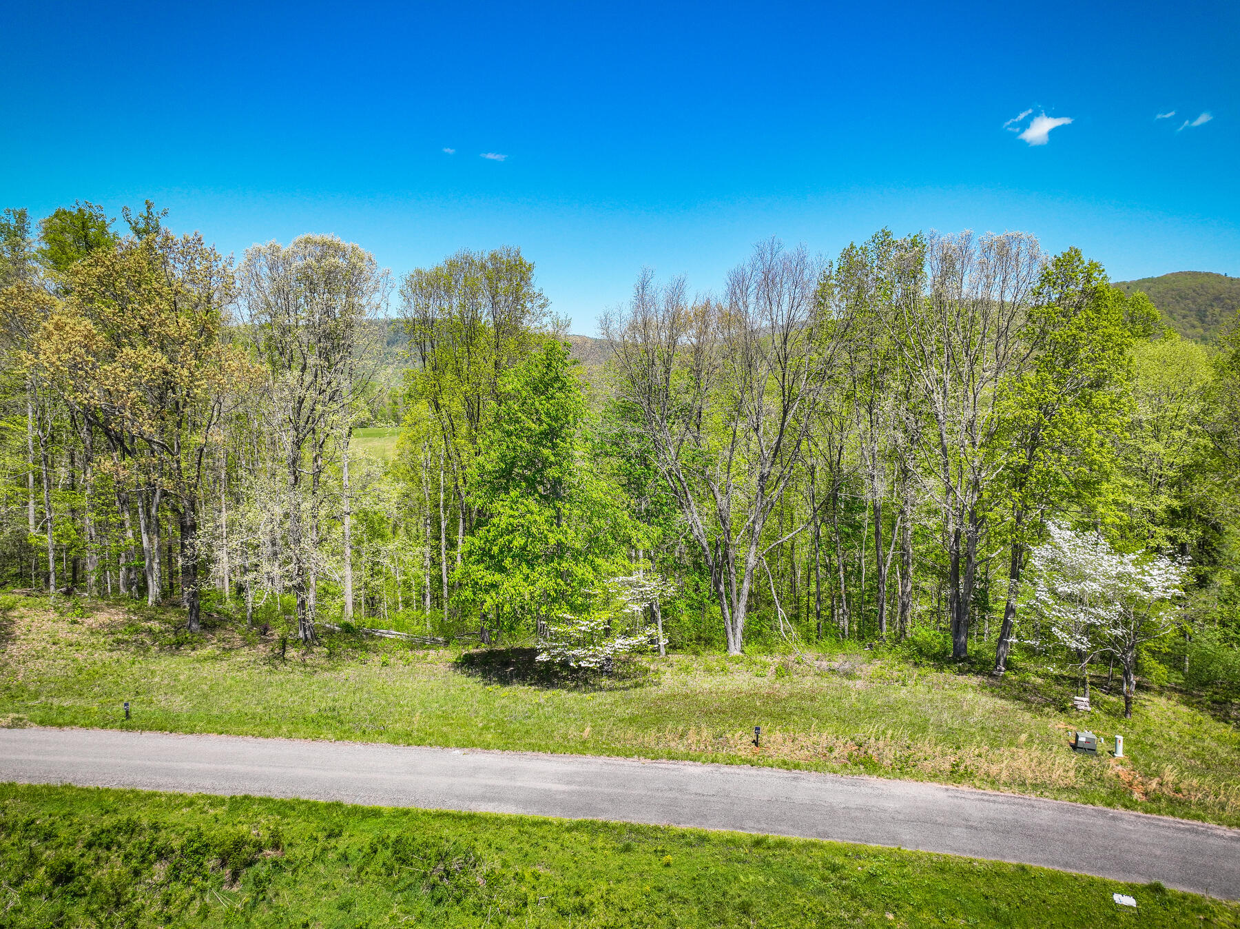 Lot 41 W Of Dry Hill Road Property Photo 1