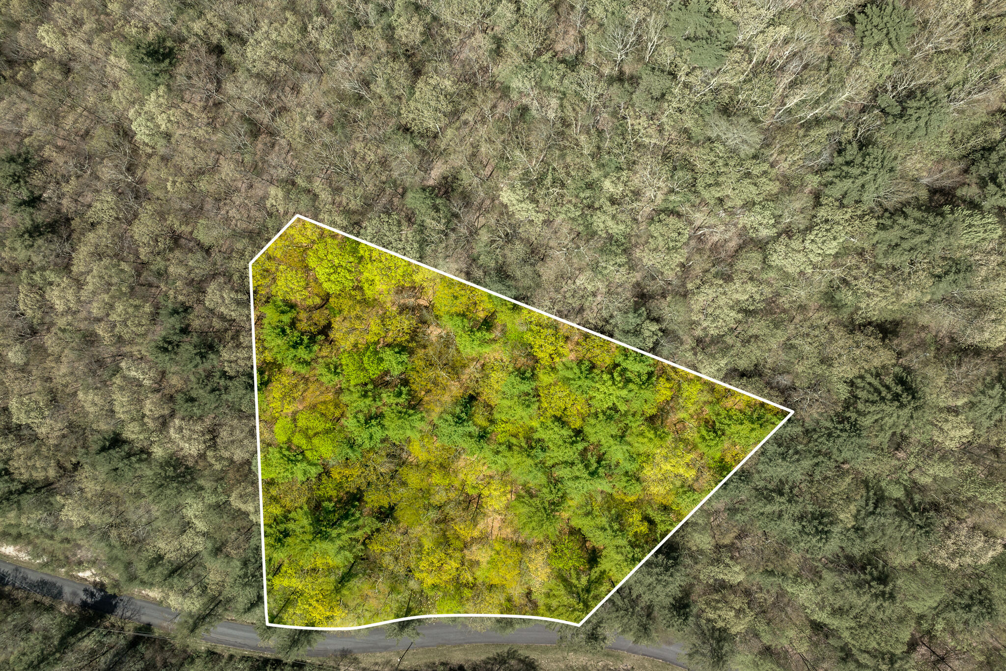 Lot 9 Callalantee Drive Property Photo 1