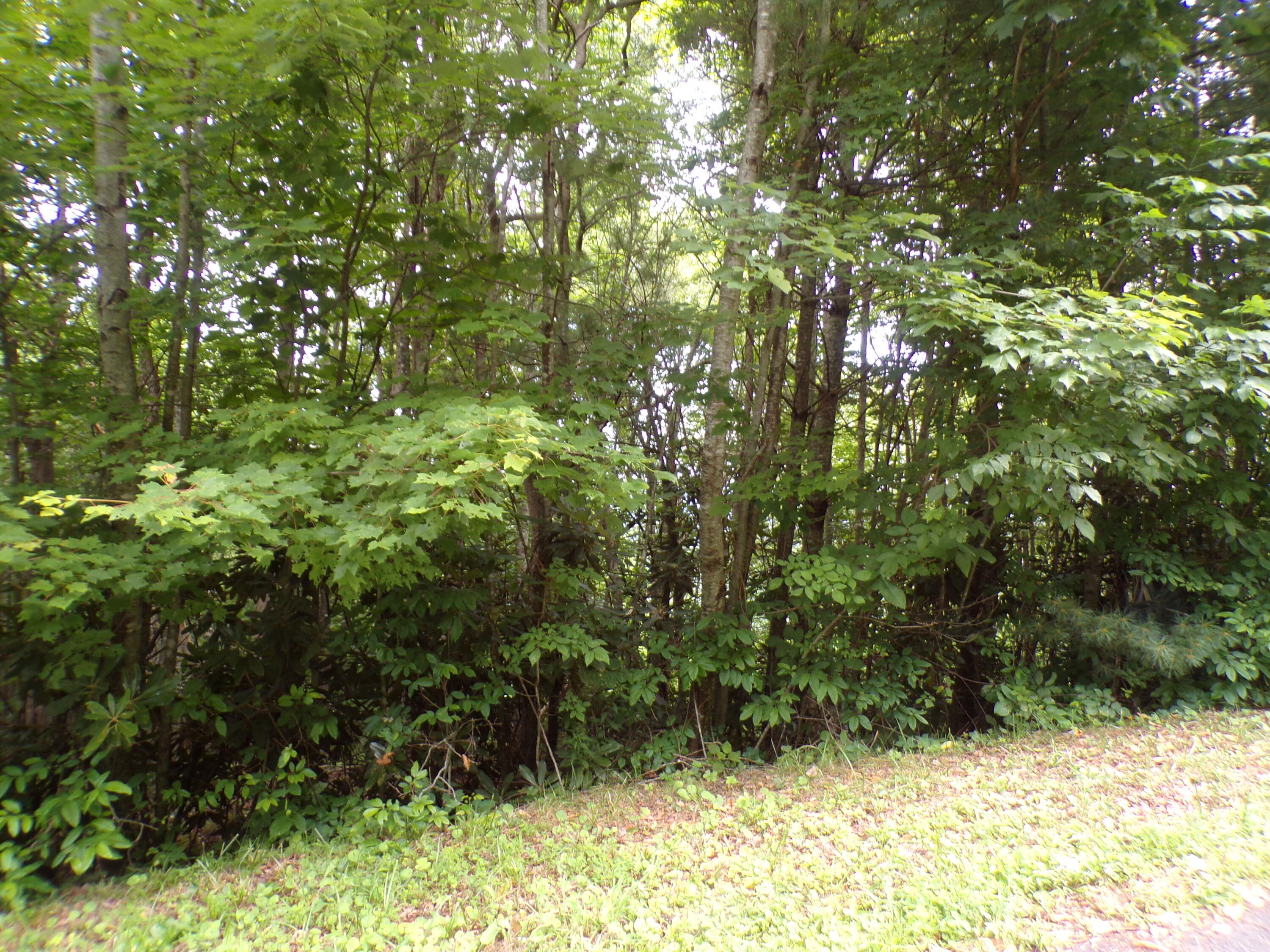 000 Callalantee Drive Property Photo