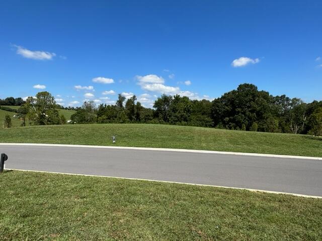 Lot 6 Turkey Ridge Lane Property Photo