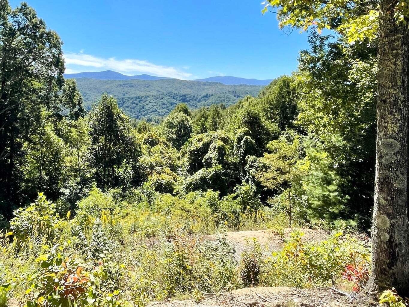 804 Vista Road Property Photo