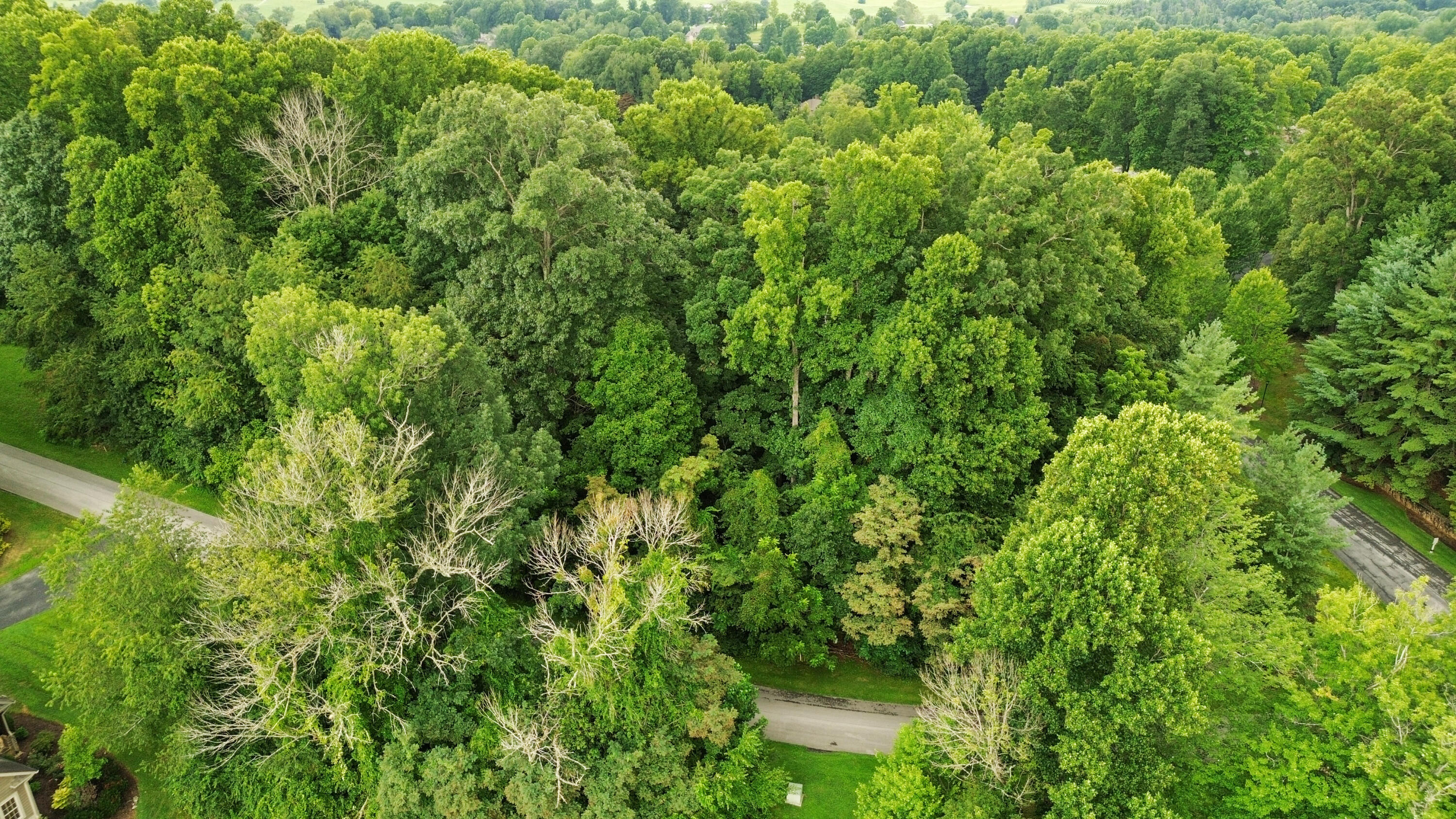 Tbd Stonewall Ridge Property Photo 1