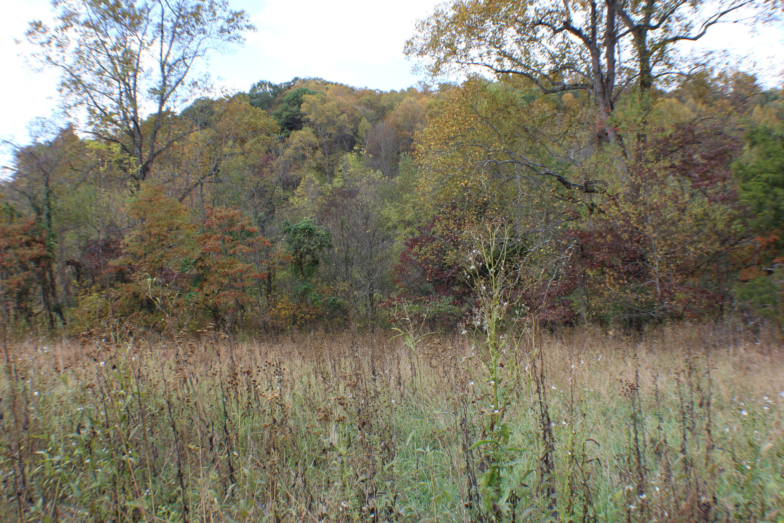 1074 Egypt Road Property Photo 1