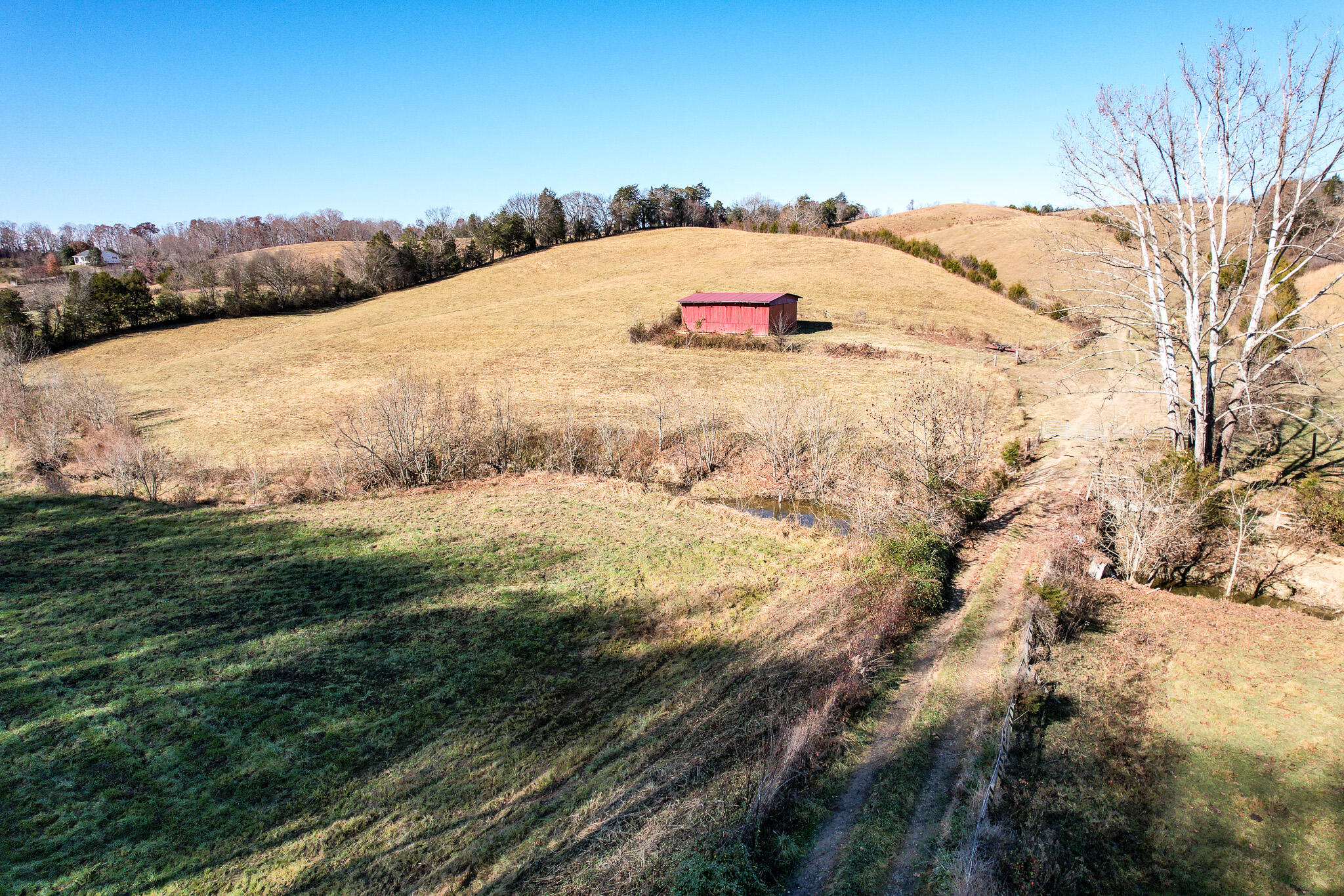 53.5 Acres Hoover Road Property Photo