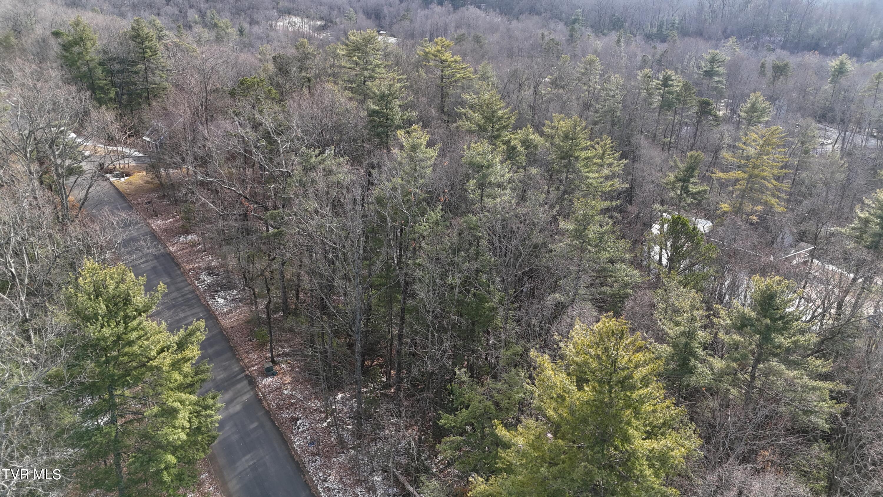 Tr 15 Mountain Laurel Court Property Photo