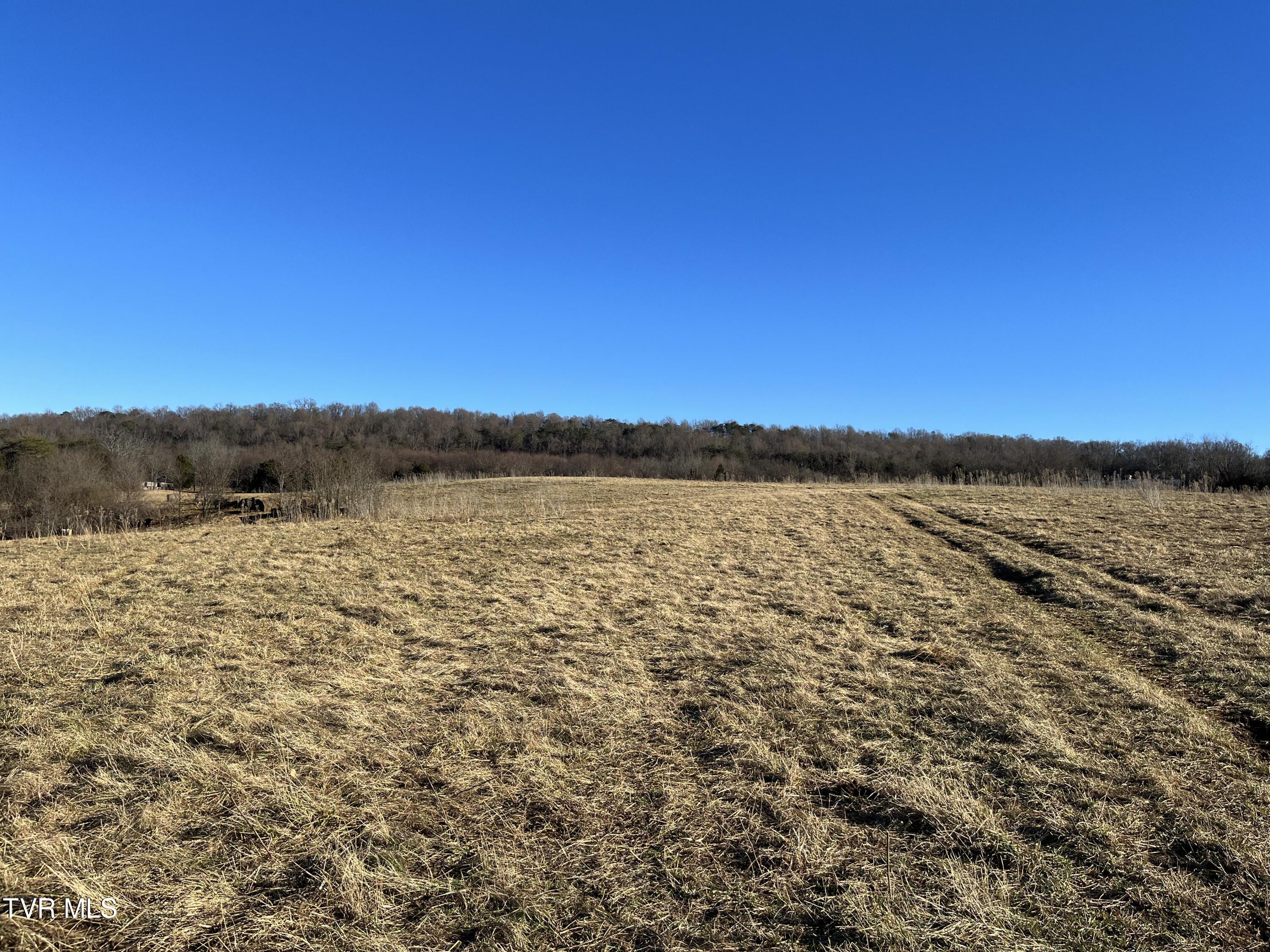 Tbd Lot 2 Old Asheville Highway Property Photo