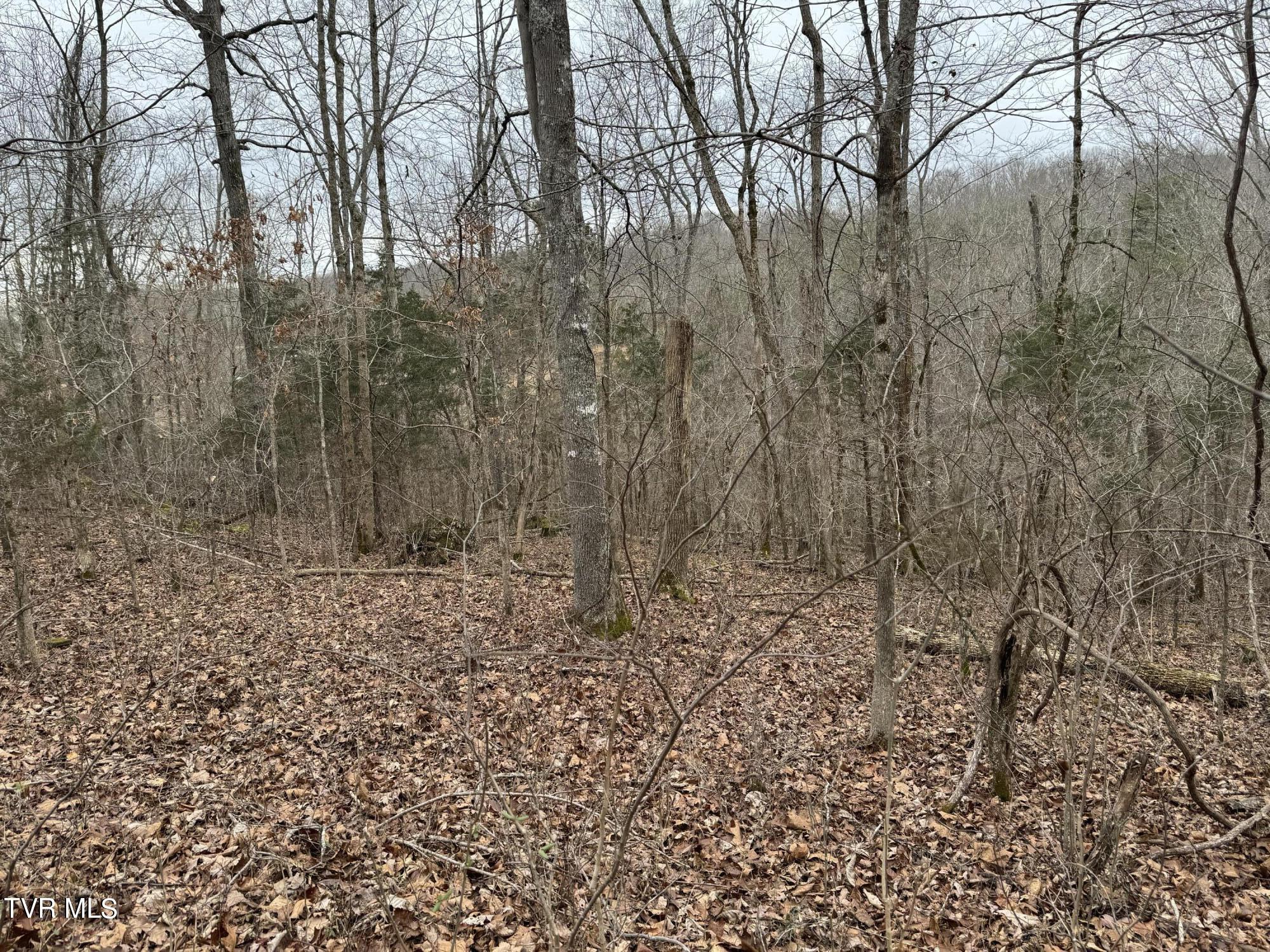 575 East Stagecoach Road Property Photo 18