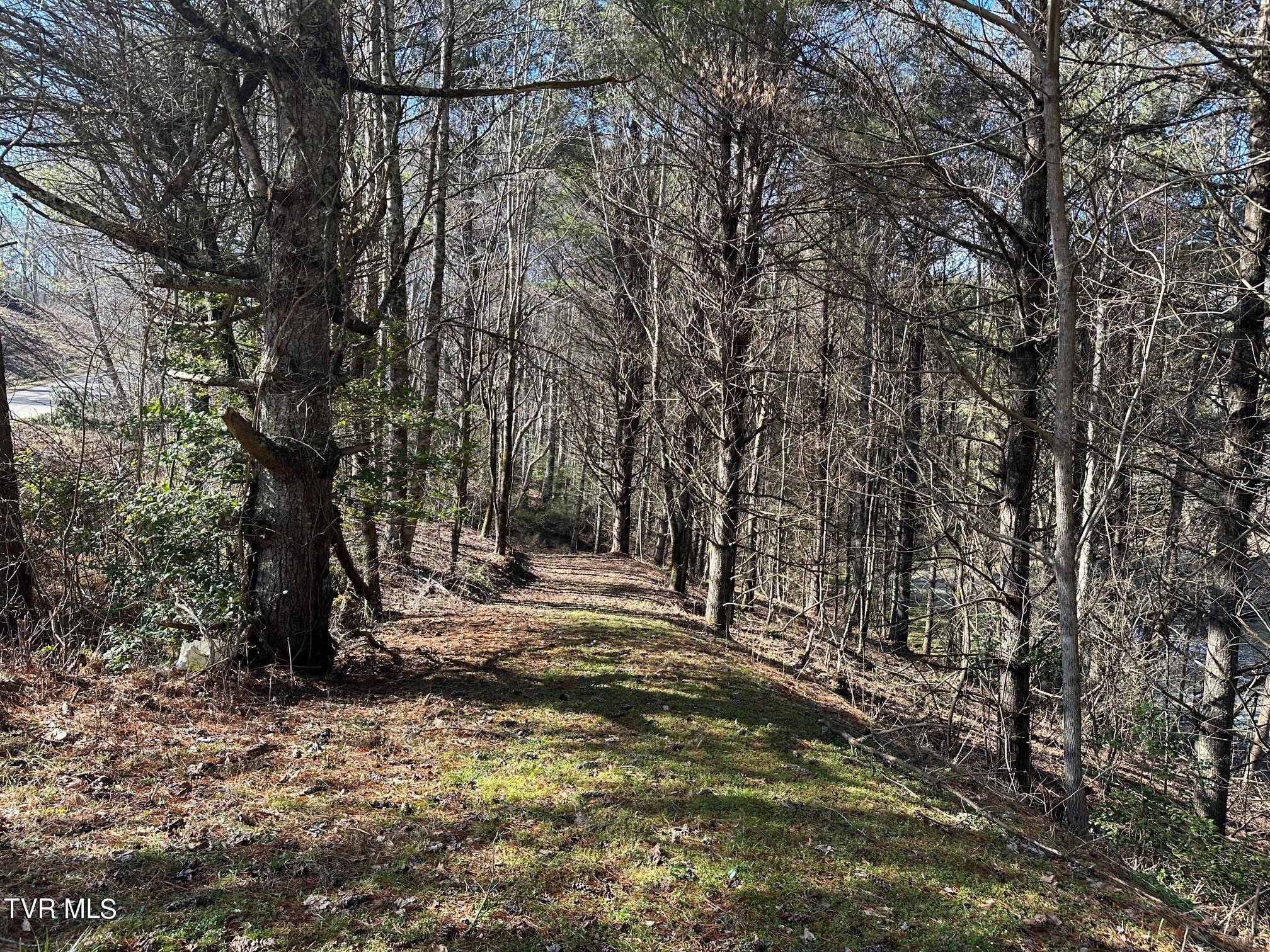 Tbd00 Laurelwood Drive