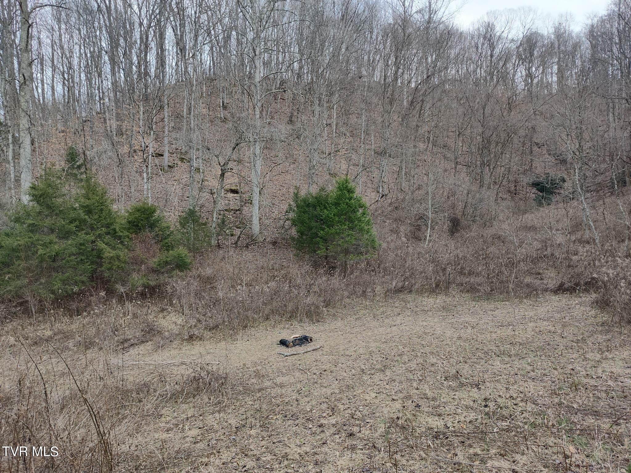 Tbd Hickory Cove Road Property Photo