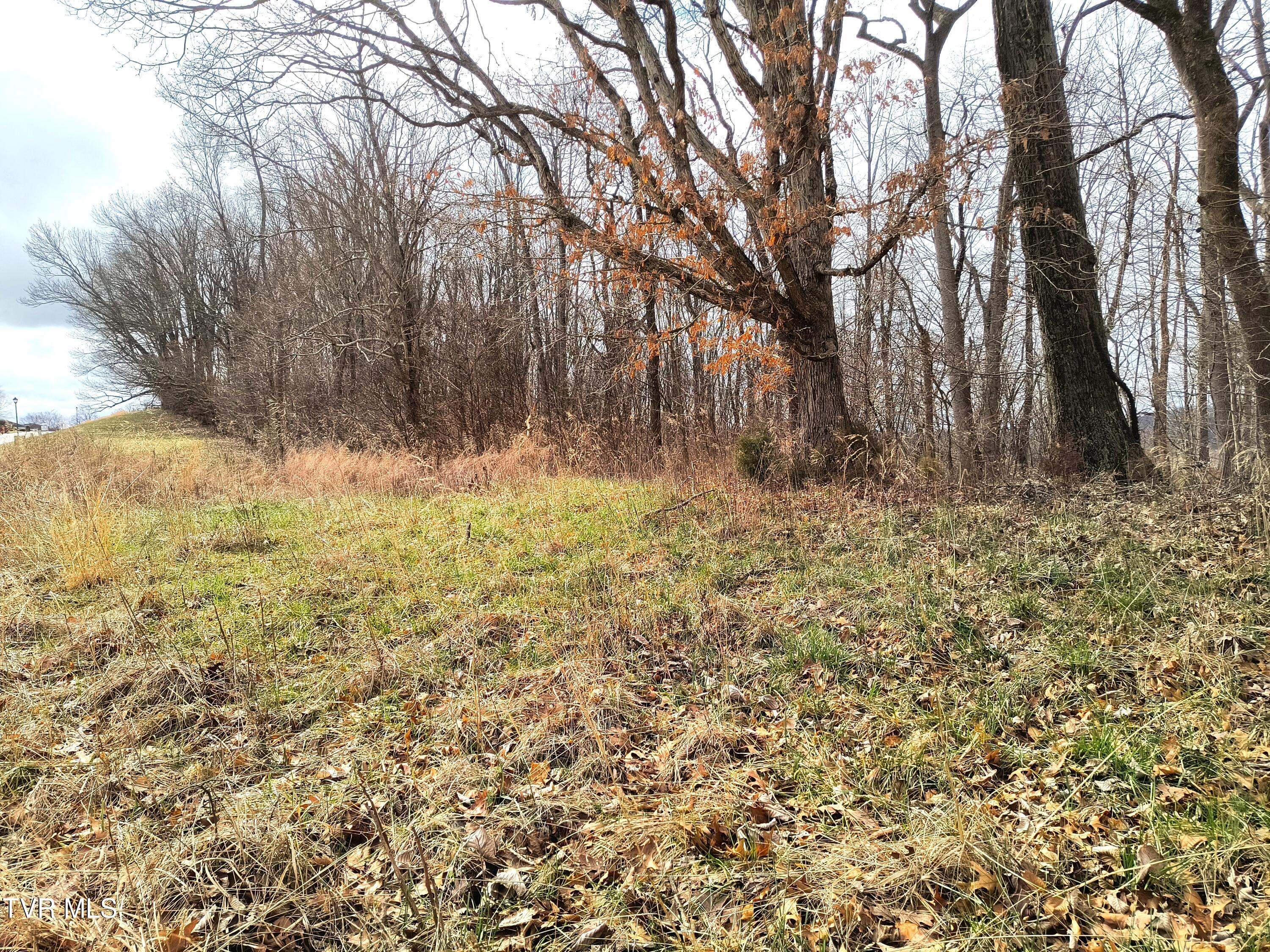 Lot 44 Chimney Top Lane Property Photo