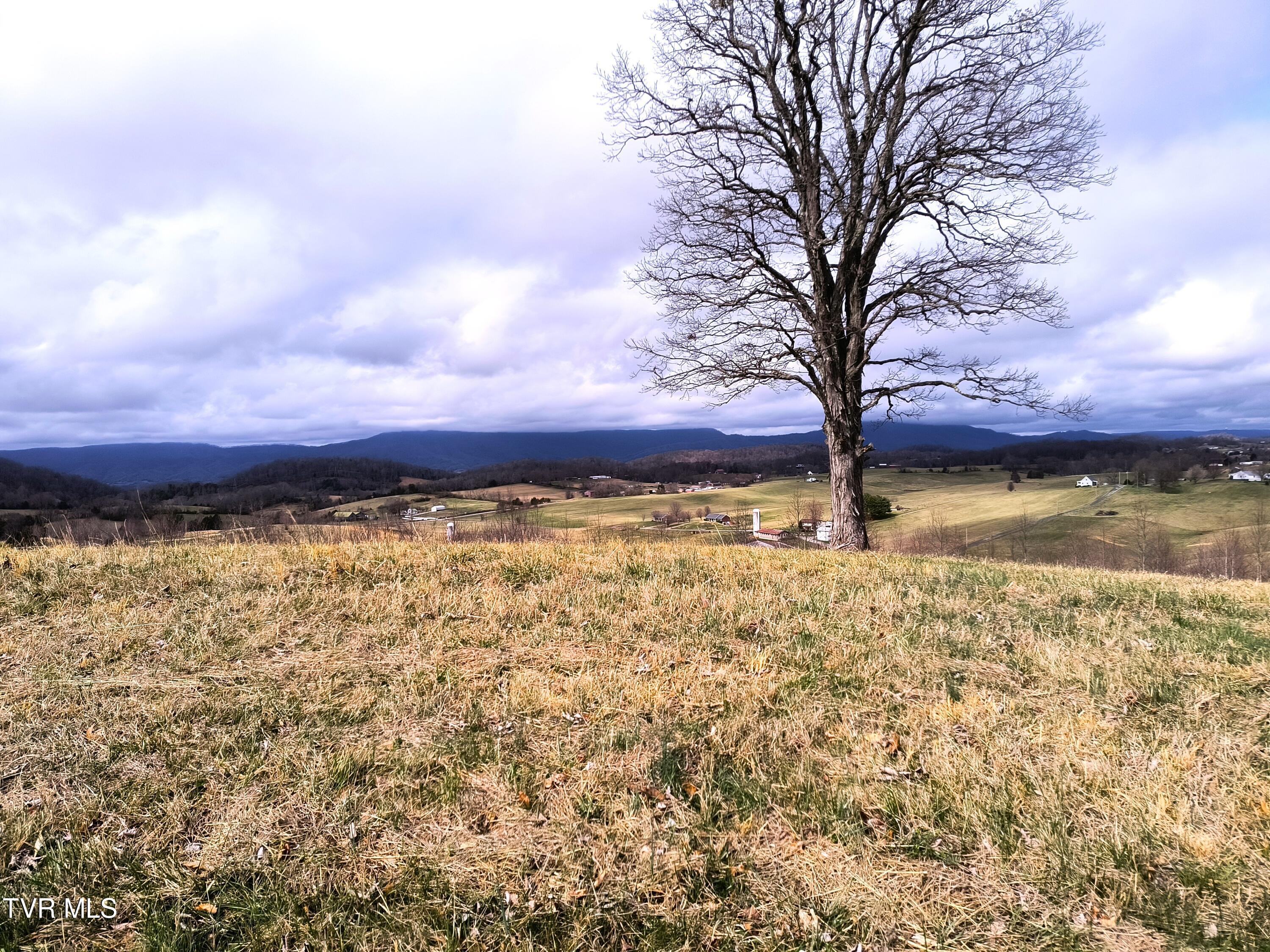 Lot 44 Chimney Top Lane Property Photo 3