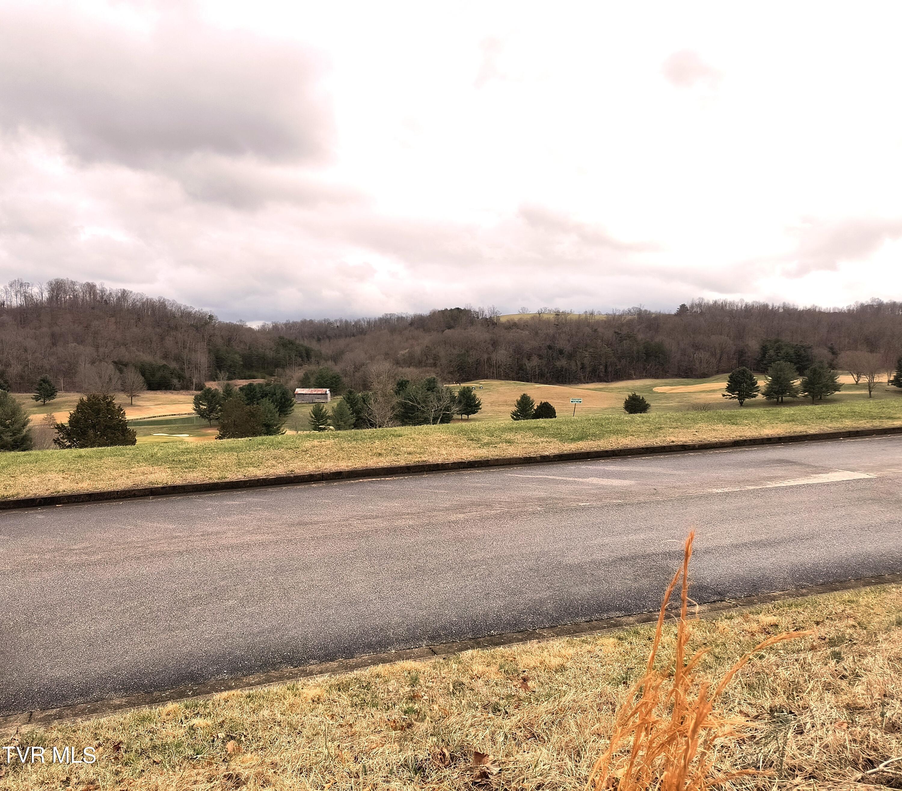 Lot 44 Chimney Top Lane Property Photo 5