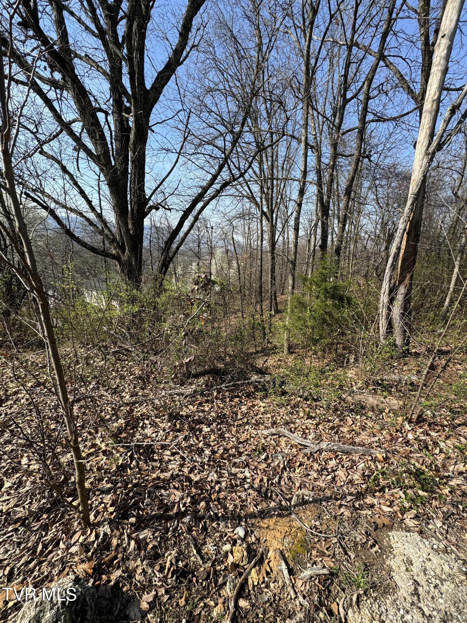 2137 Hiara Drive Property Photo