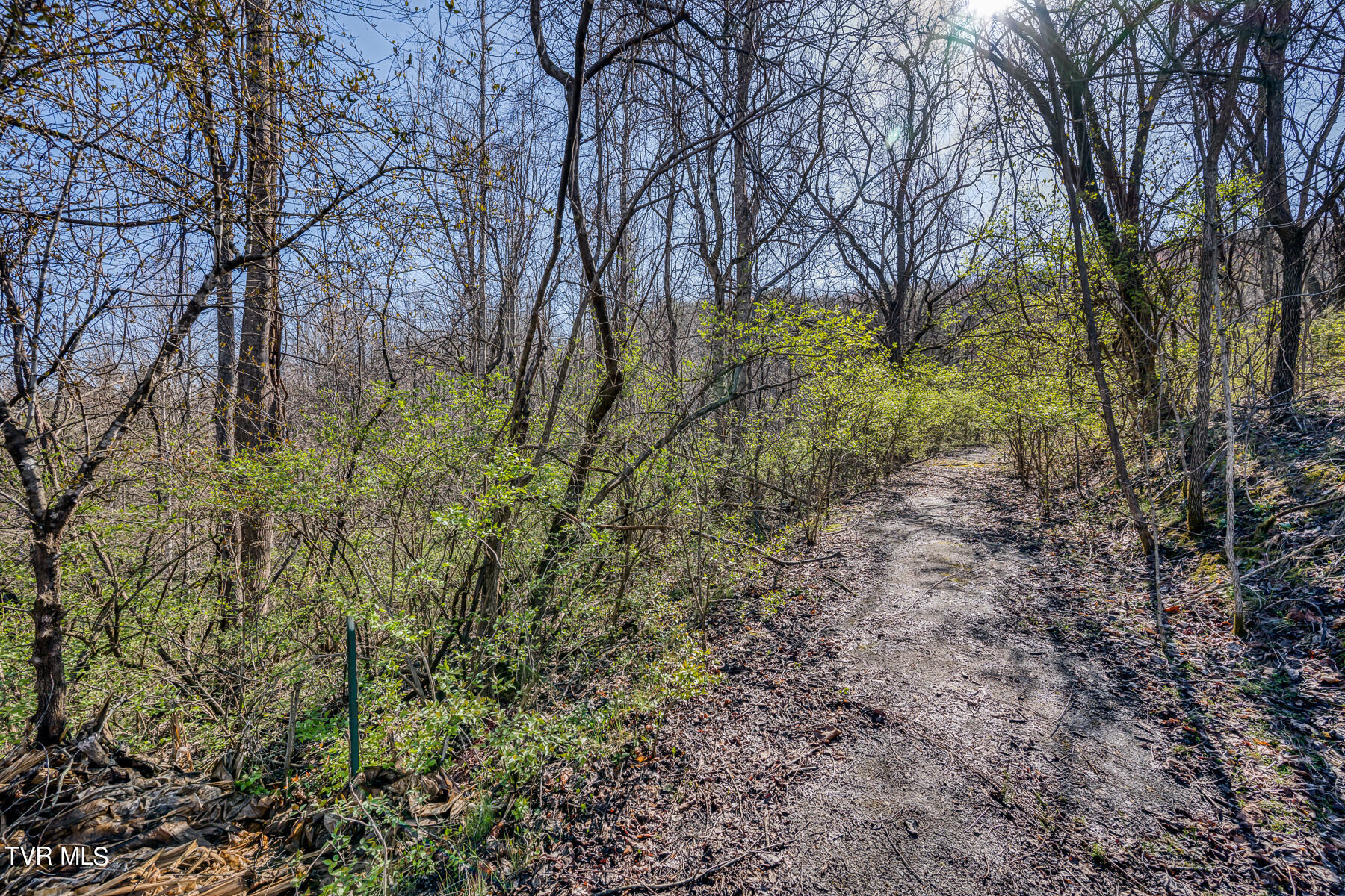 Tbd Cannon Hill Drive Property Photo