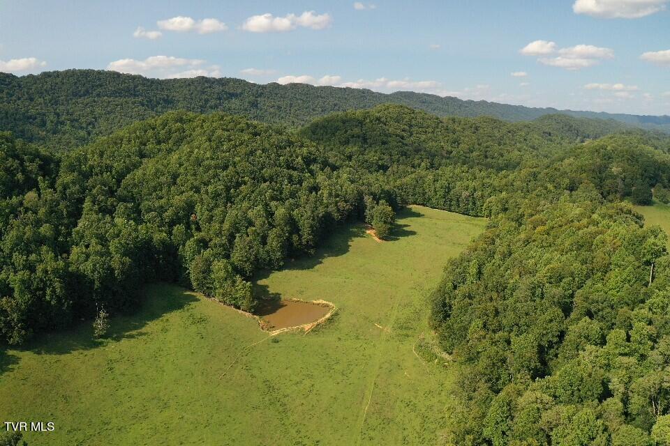 868 Caney Valley Loop Property Photo 8