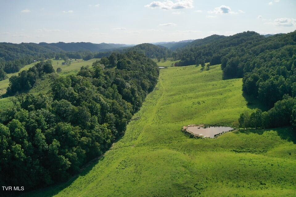 868 Caney Valley Loop Property Photo 11