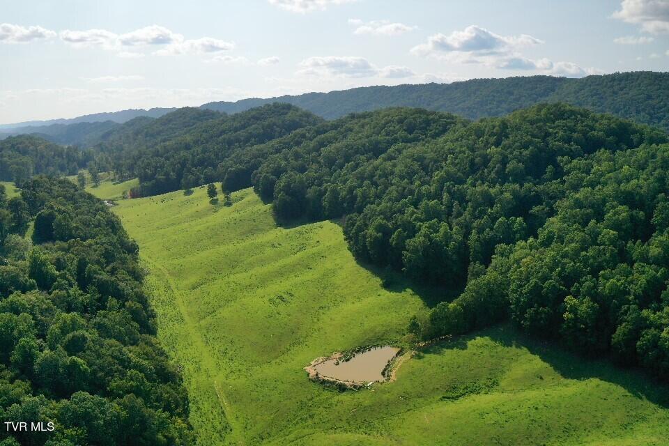 868 Caney Valley Loop Property Photo 58