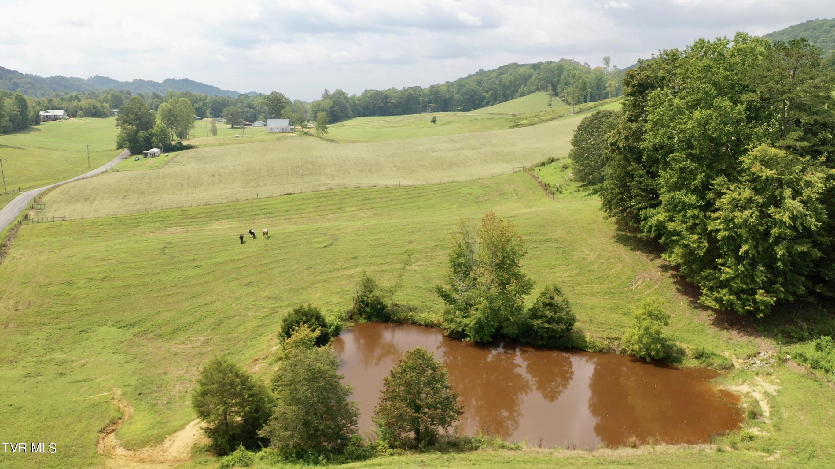 868 Caney Valley Loop Property Photo 66