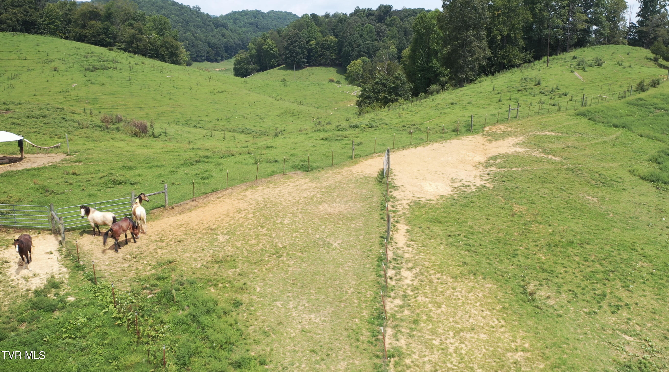 868 Caney Valley Loop Property Photo 83